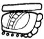 glyph-g5